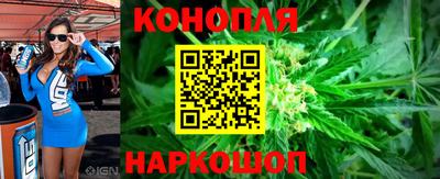 прущие крисы Камышлов