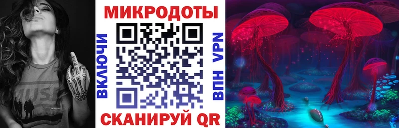 Псилоцибиновые грибы GOLDEN TEACHER  Стерлитамак 