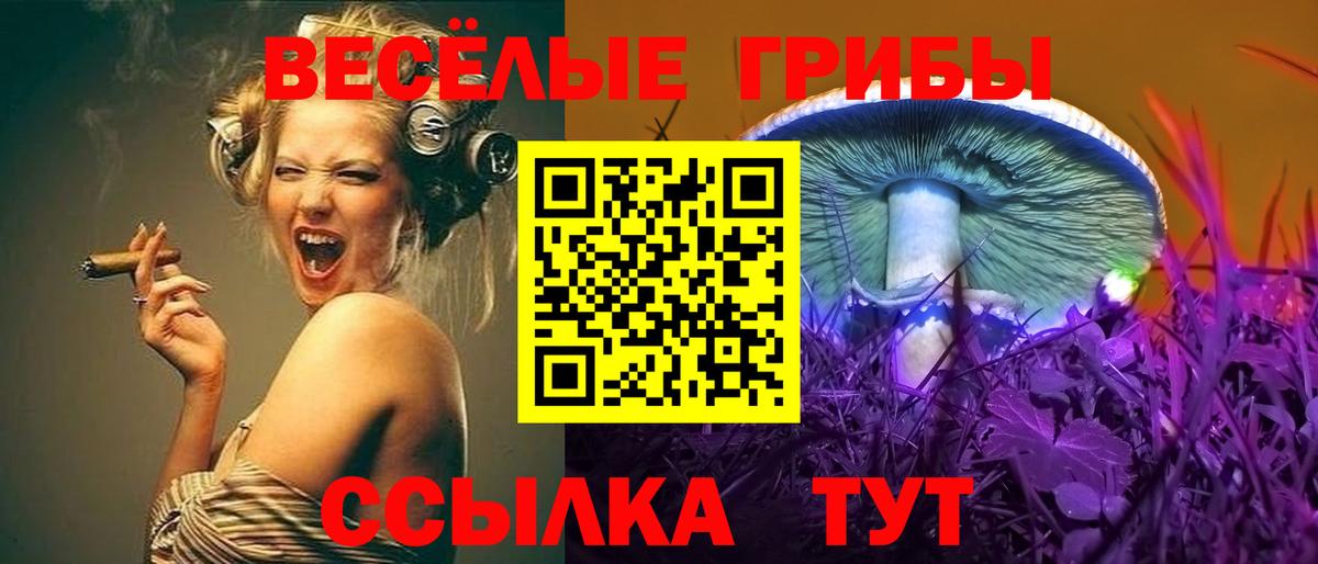 Галлюциногенные грибы GOLDEN TEACHER  Галлюциногенные грибы MAGIC MUSHROOMS  Стерлитамак  Вход с VPN 